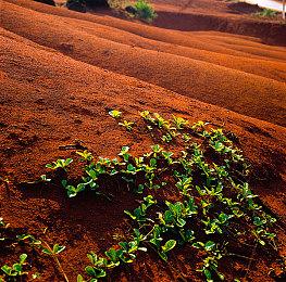 索尼新专利：未来PSVR或可以识别阿尔茨海默症的早期迹象